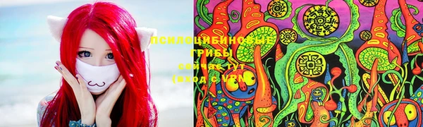 бошки Богданович